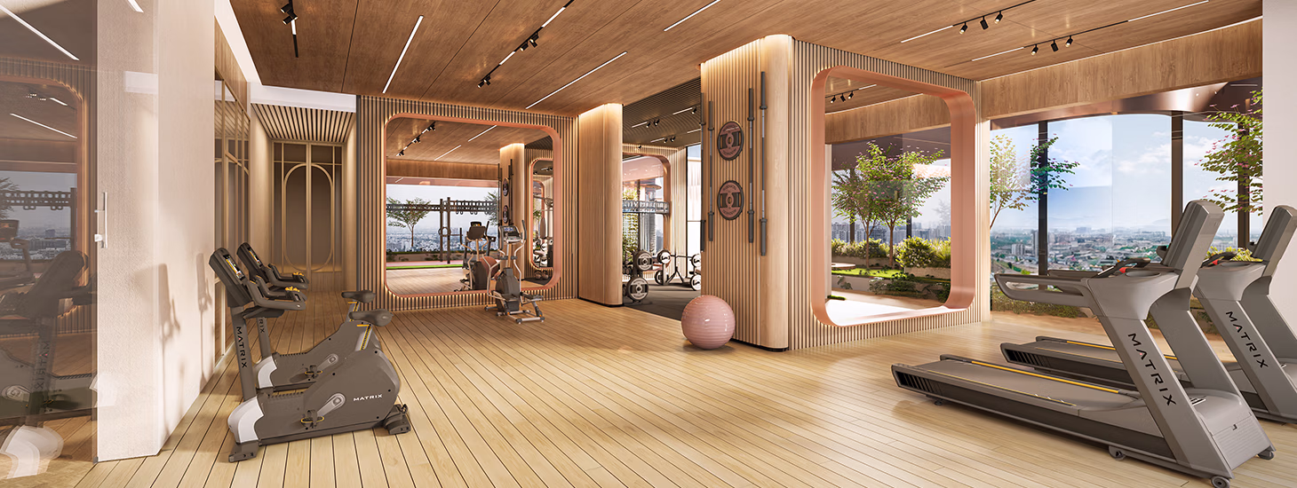 Gymnasium