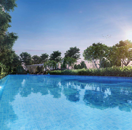 Primary Pool
