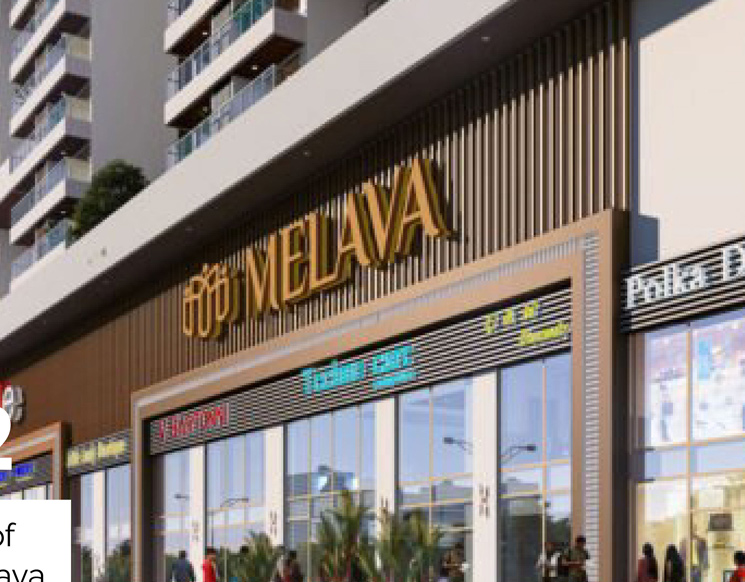 DUVILLE MELAVA HIGH STREET 